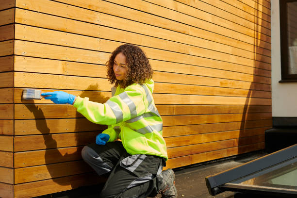 Best Custom Siding Design  in Dock Junction, GA