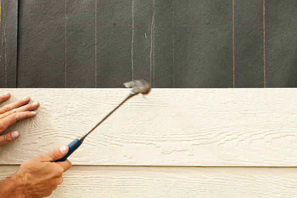 Best Steel Siding Installation  in Dock Junction, GA